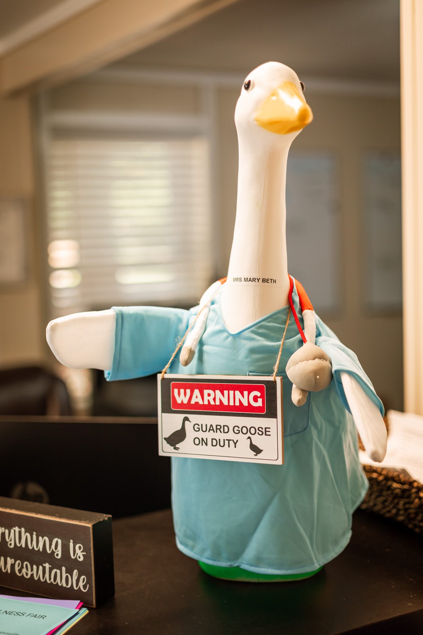 Guard goose on duty